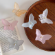 Hair Accessory 2 Pcs